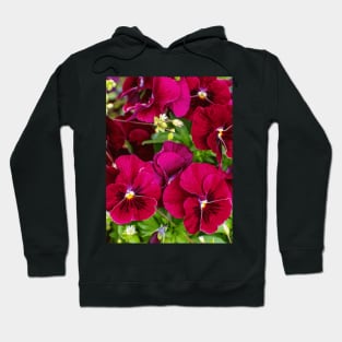 Purple pansies inspiring, beautiful flower Hoodie